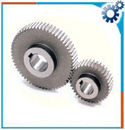 Spur Gear